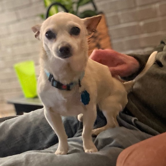 Meet your Posher, Anne-Marie - Picture 2 of 5